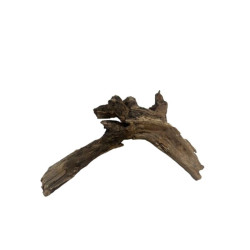 Dekoracija akvariumui šaka Black Slim Wood S (15-25 cm) - nuotrauka 5