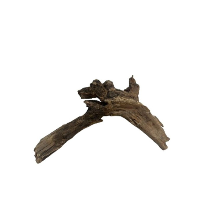 Dekoracija akvariumui šaka Black Slim Wood S (15-25 cm)