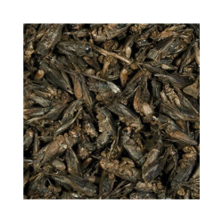Tropical Crickets džiovinti svirpliai 100 ml - nuotrauka 2
