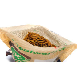 Džiovintos milčių lervos, 500 ml (80 g) - nuotrauka 4