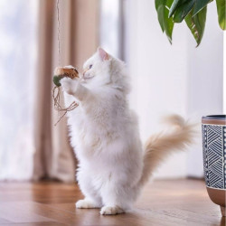 Quapas! Žaislas katėms meškerė su kamuoliuku - nuotrauka 4