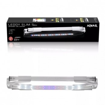 Leddy Slim Plant, 10 W, 50-70 cm, baltas