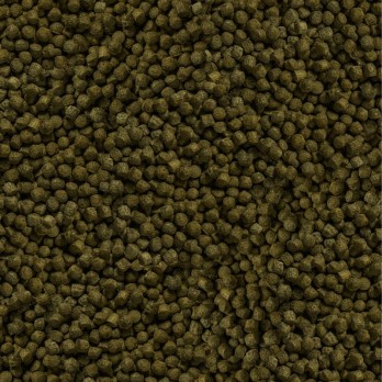 Sera Koi Color Medium pašaras tvenkinių žuvims, 3,8 l (1,3 kg)