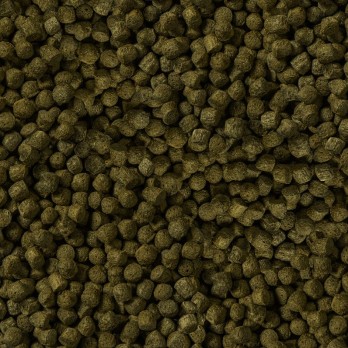 Sera Koi Color Large pašaras tvenkinių žuvims, 3,8 l (980 g)