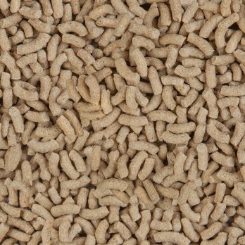 Sera Pond Color pašaras tvenkinių žuvims, 3,8 l (600 g)