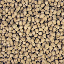 Sera Pond Pelets pašaras tvenkinių žuvims, 3,8 l (600 g) - nuotrauka 2