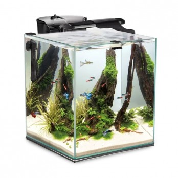 Aquael Fish&Shrimp Set Duo Day&Night 35, juodas