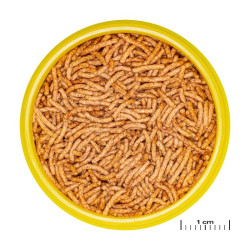 JBL ProNovo Betta Insect Stick S pašaras Betta žuvims (gaideliams) 100 ml - nuotrauka 2