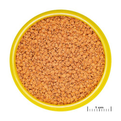 JBL ProNovo Betta Grano S pašaras Betta žuvims (gaideliams) 100 ml - nuotrauka 2