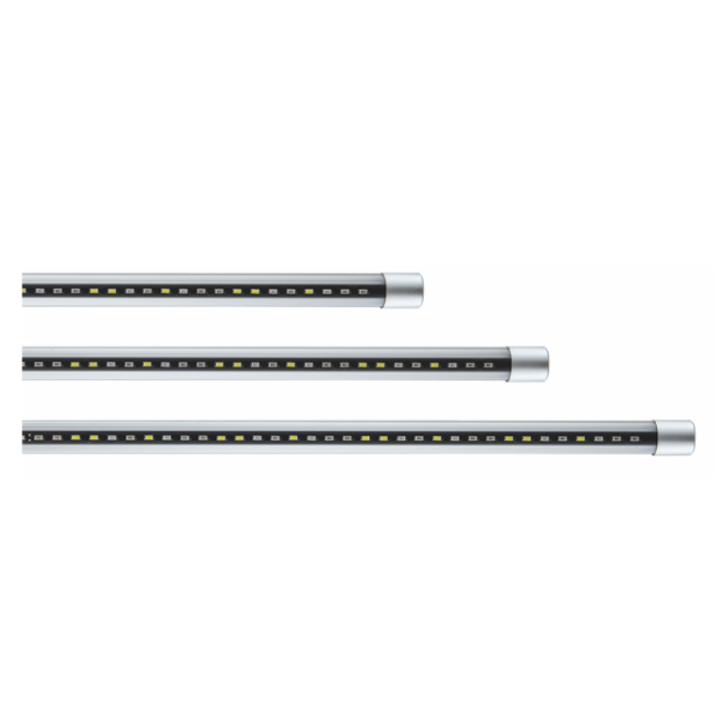 LED lempa akvariumams, 3 W, akvariumų prekės | Akvazoo.lt
