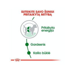 Royal Canin SHN MINI Adult maistas suaugusiems šunims 8 kg - nuotrauka 3