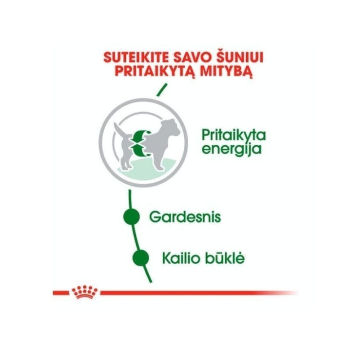 Royal Canin SHN MINI Adult maistas suaugusiems šunims 2 kg