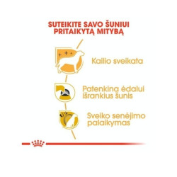 Royal Canin BHN Yorkshire Terrier Adult maistas suaugusiems šunims 7,5 kg - nuotrauka 3