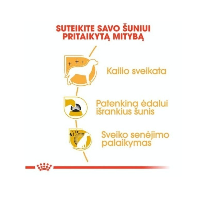 Royal Canin BHN Yorkshire Terrier Adult maistas suaugusiems šunims 7,5 kg