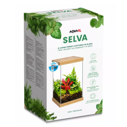 Mini terariumas Selva, 20x20x30 cm - nuotrauka 3