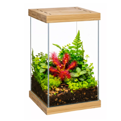 Mini terariumas Selva, 20x20x30 cm - nuotrauka 2