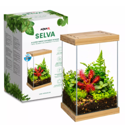Mini terariumas Selva, 20x20x30 cm - nuotrauka 1