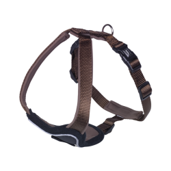 Petnešos Classic Preno 35-45 cm, 25 mm, rudos