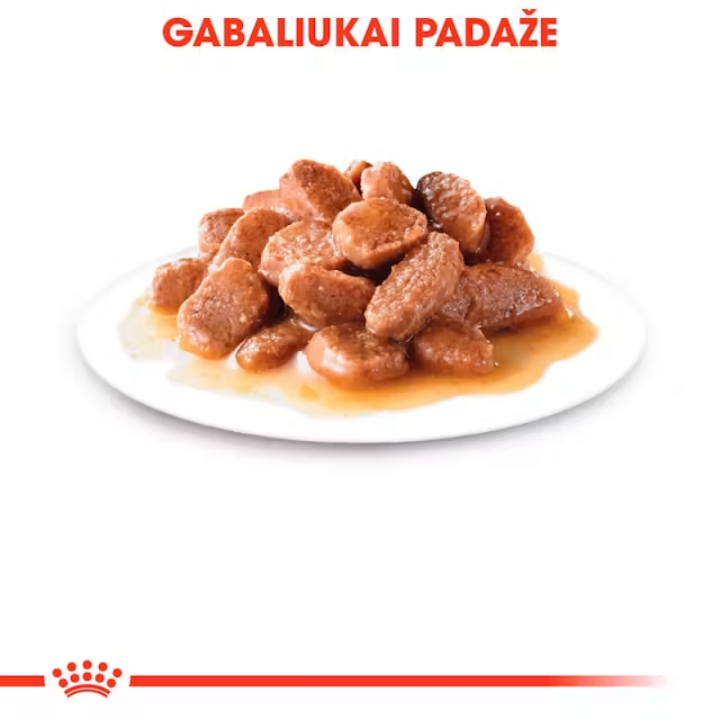 FCN Digest Sensitive Gravy 85 g - konservuotas ėdalas katėms