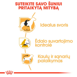 Royal Canin BHN Dog Beagle Adult maistas suaugusiems Biglių veislės šunims 12 kg - nuotrauka 2
