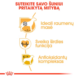 Roayl Canin BHN Dog Boxer Adult maistas suaugusiems Bokserių veislės šunims 12 kg - nuotrauka 3