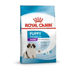 Royal Canin SHN Dog Giant Puppy maistas maistas jauniems itin didelių veislių šunims 15 kg