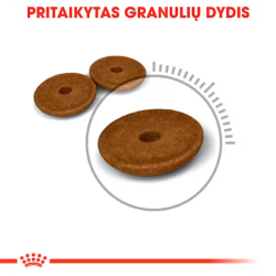 Royal Canin FCN Cat Digestive Care maistas suaugusioms, turinčioms jautrų skrandį katėms 10 kg - nuotrauka 2