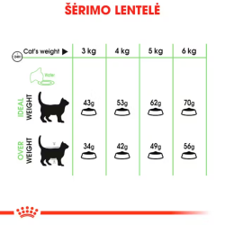 Royal Canin FCN Cat Digestive Care maistas suaugusioms, turinčioms jautrų skrandį katėms 10 kg - nuotrauka 4