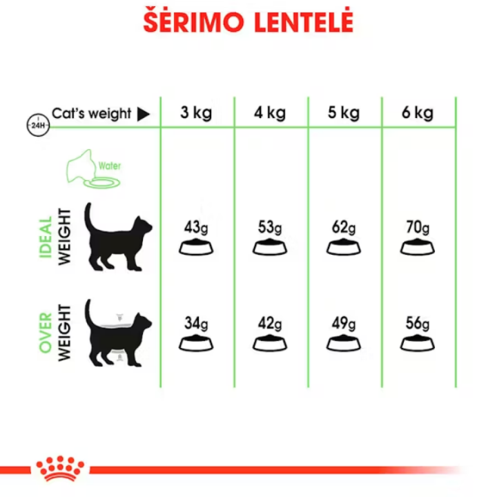 Royal Canin FCN Cat Digestive Care maistas suaugusioms, turinčioms jautrų skrandį katėms 10 kg