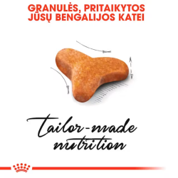 Royal Canin FBN Cat Bengal maistas suaugusioms Bengalų veislės katėms 10 kg - nuotrauka 3