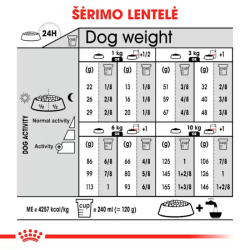 Royal Canin CCN Dog Digestive Care Mini maistas suaugusiems, jautrų skrandį turintiems mažų veislių šunims 8 kg - nuotrauka 3