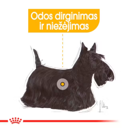 Royal Canin CCN Dog Dermacomfort Mini maistas suaugusiems, jautrią odą turintiems mažų veislių šunims 8 kg - nuotrauka 3