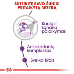 Royal Canin SHN Dog Giant Adult maistas suaugusiems itin didelių veislių šunims 15 kg - nuotrauka 2