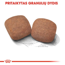Royal Canin SHN Dog Giant Adult maistas suaugusiems itin didelių veislių šunims 15 kg - nuotrauka 3