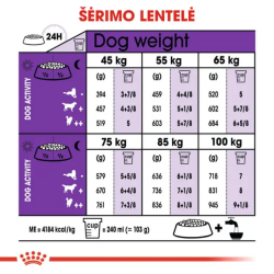 Royal Canin SHN Dog Giant Adult maistas suaugusiems itin didelių veislių šunims 15 kg - nuotrauka 4