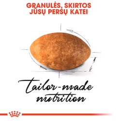 Royal Canin FBN Cat Persian maistas suaugusioms Persų veislės katėms 10 kg - nuotrauka 2