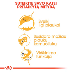 Royal Canin FBN Cat Persian maistas suaugusioms Persų veislės katėms 10 kg - nuotrauka 3