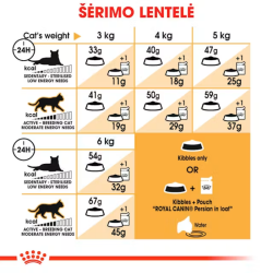 Royal Canin FBN Cat Persian maistas suaugusioms Persų veislės katėms 10 kg - nuotrauka 4