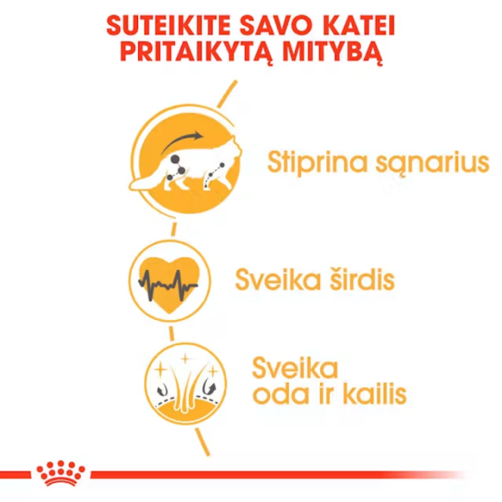 Royal Canin FBN Cat Maine Coon maistas suaugusios Meino meškėnų veislės katėms 10 kg | Akvazoo.lt