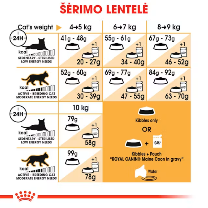 Royal Canin FBN Cat Maine Coon maistas suaugusios Meino meškėnų veislės katėms 10 kg | Akvazoo.lt