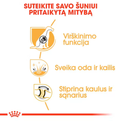 Royal Canin BHN Dog German Shepherd Adult maistas suaugusiems Vokiečių aviganių veislės šunims 11 kg - nuotrauka 2