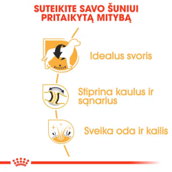 Royal Canin BHN Dog Labrador Retrievier Adult maistas suaugusiems Labradoro retriverių veislės šunims 12 kg - nuotrauka 2