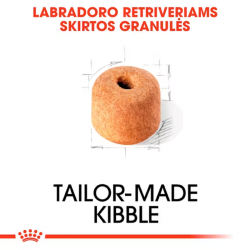 Royal Canin BHN Dog Labrador Retrievier Adult maistas suaugusiems Labradoro retriverių veislės šunims 12 kg - nuotrauka 3
