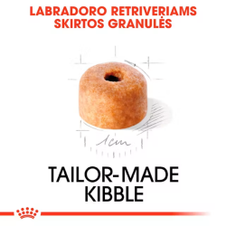 Royal Canin BHN Dog Labrador Retrievier Puppy maistas jauniems Labradoro retriverių veislės šunims 12 kg - nuotrauka 3