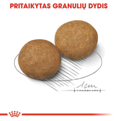 Royal Canin SHN Dog Medium Adult maistas suaugusiems  vidutinių veislių šunims 12 kg - nuotrauka 3