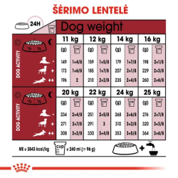Royal Canin SHN Dog Medium Adult maistas suaugusiems  vidutinių veislių šunims 12 kg - nuotrauka 4