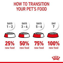 Royal Canin FCN Cat Dental Care maistas suaugusioms katėms dantų akmenų formavimosi mažinimui 8 kg - nuotrauka 5