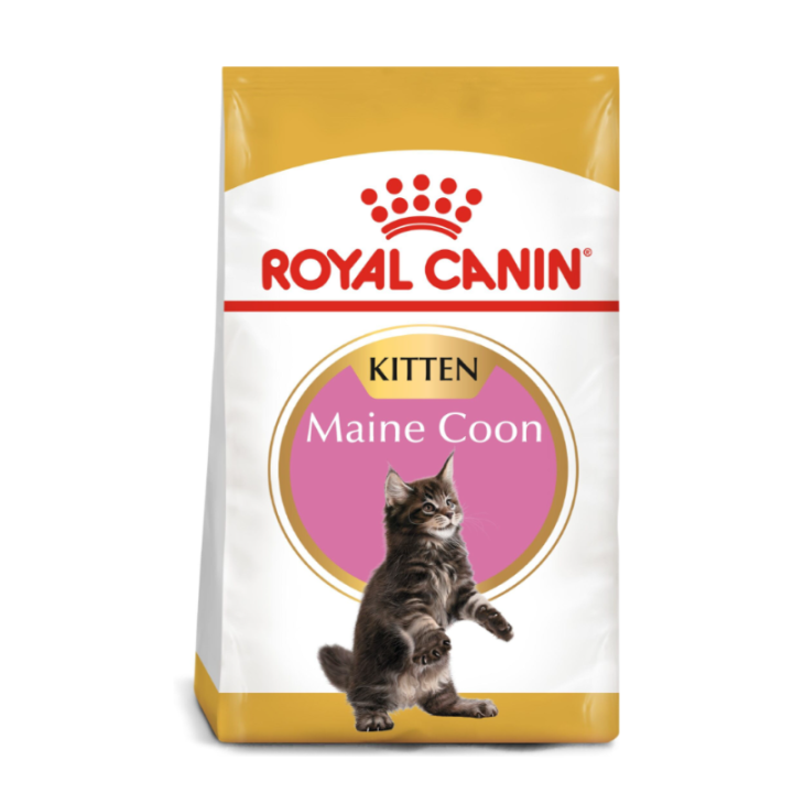 Royal Canin FBN Cat Maine Coon Kitten maistas jaunoms Meino meškėnų veislės katėms 10 kg