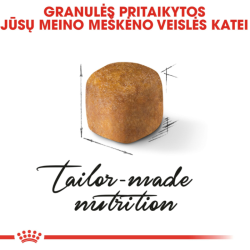 Royal Canin FBN Cat Maine Coon Kitten pašaras jaunoms Meino meškėnų veislės katėms 10 kg - nuotrauka 3