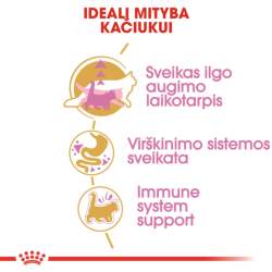 Royal Canin FBN Cat Maine Coon Kitten pašaras jaunoms Meino meškėnų veislės katėms 10 kg - nuotrauka 4